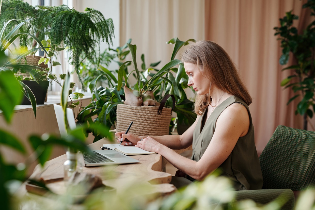 Home-office a izbové rastliny